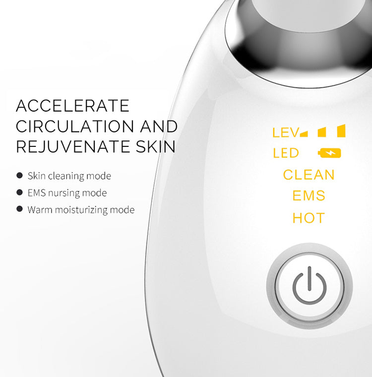 Face Sculpt Massager